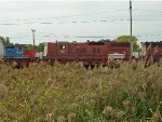 First-generation EMD power congregates in the CN yard in 2007